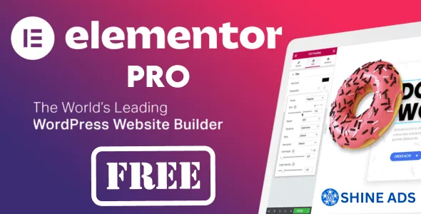 elementor pro